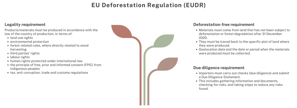 Figure 1: EUDR requirements
