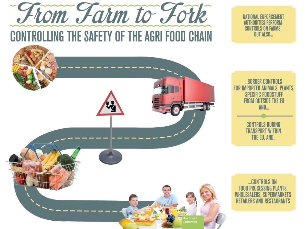 Graphic explaining the Farm to Fork approach