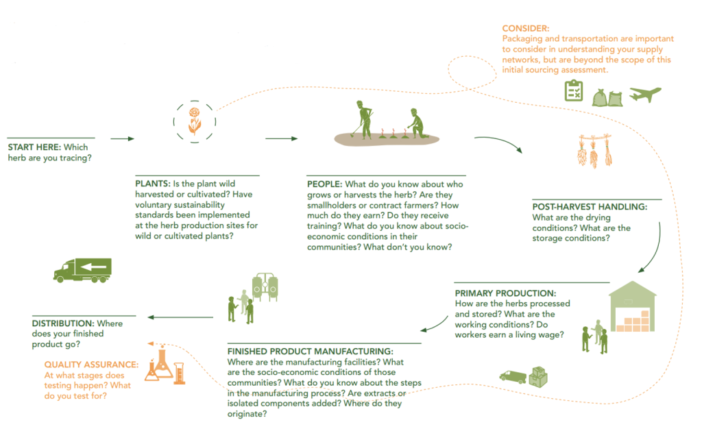 Example of a sustainable sourcing roadmap