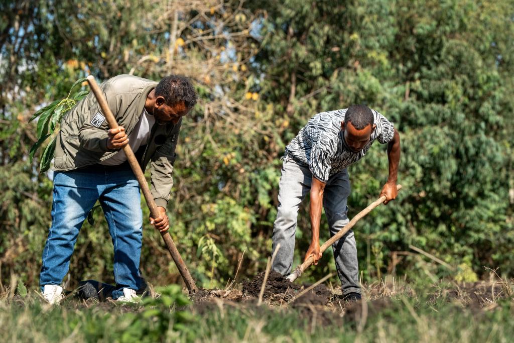 Men working on land