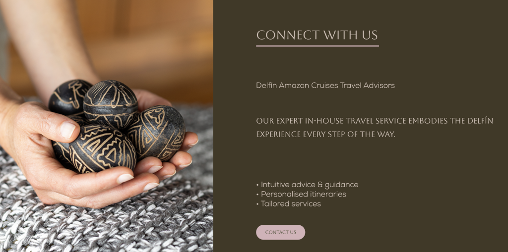 Website of Delphin