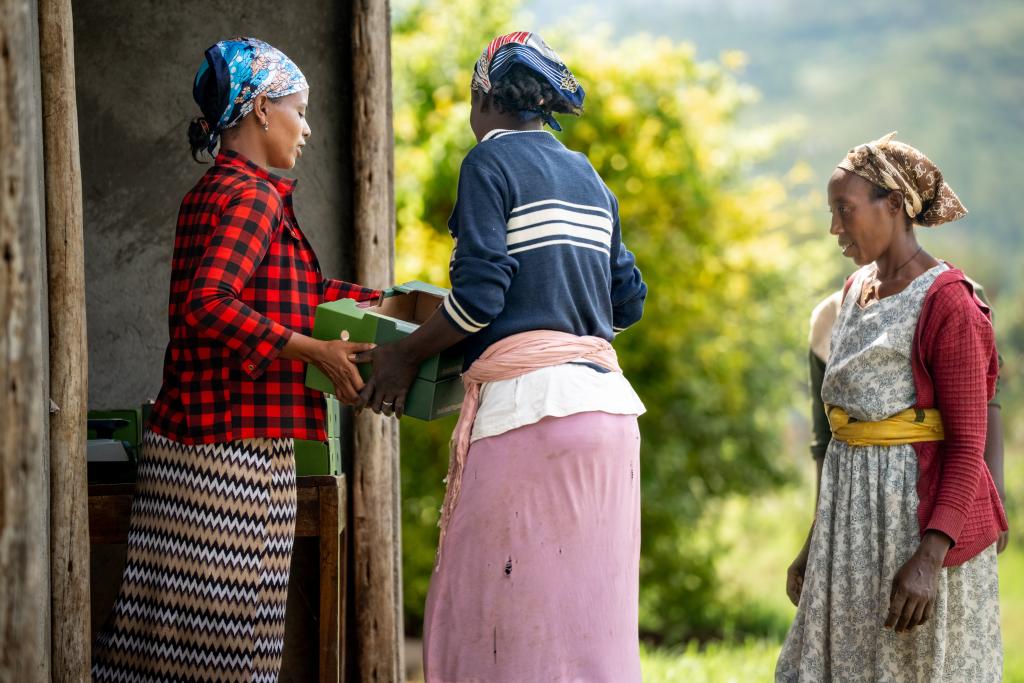 Women carrying crates