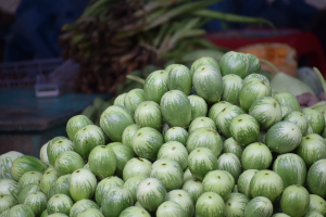 Green Aubergine