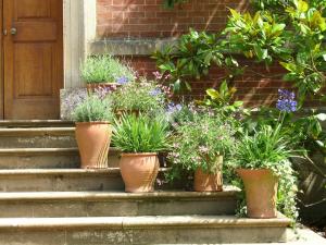 A collection of terracotta pots
