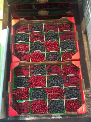 Example of wholesale packaging at the Rungis market in Paris