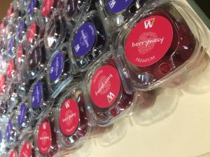 Example of presentation of a premium, healthy product