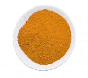 Turmeric powder sample