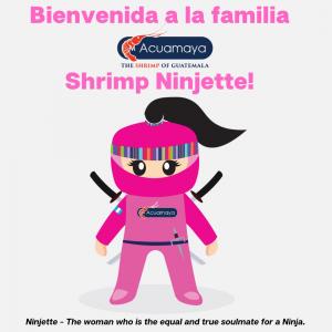 Acuamaya’s Shrimp Ninjette Campaign