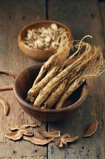 Ginseng