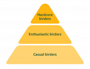 The specialist niches in birdwatching tourism