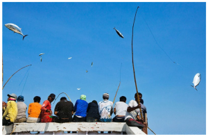 A picture used in the promotion of One-by-one Indonesian Tuna