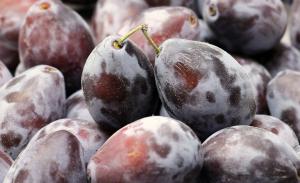 Plums