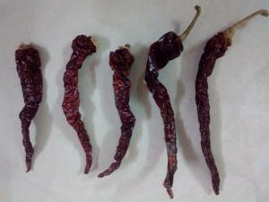 Byadgie chillies