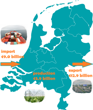 The hub function of the Netherlands