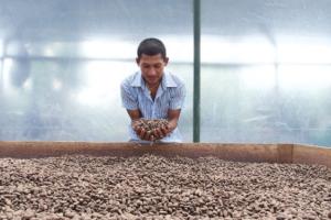 Cooperativa La Campesina
