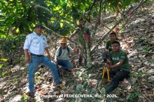 Cooperative Alianza, R.L.