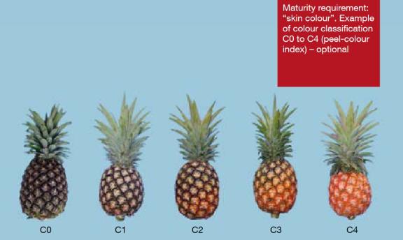 Commercial classification of external maturity