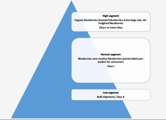 Market segments for blueberries in Europe