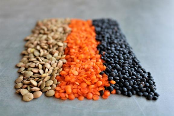 Different lentil varieties