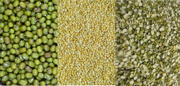 Mung beans, whole, split and skinned