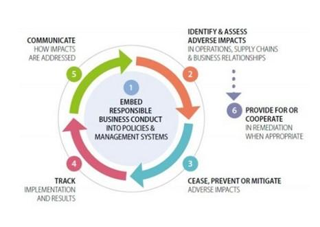 The six steps of the human rights due diligence process (OECD (2018)
