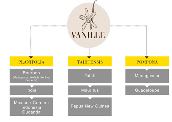 Eurovanille product range origins