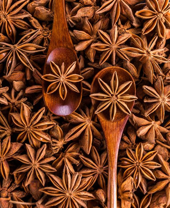 Star anise seeds