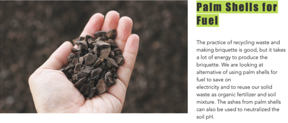 Palm shells as fuel alternative