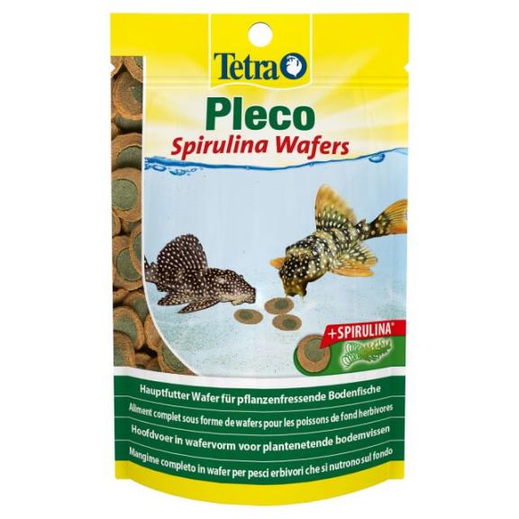 Pleco