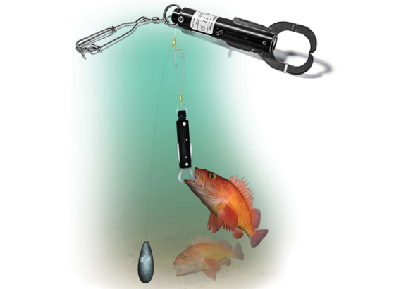 Example of a descending device