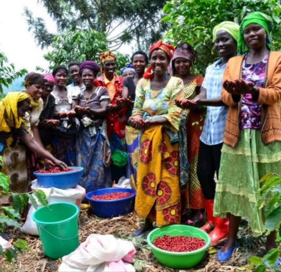 Figure 5: Women coffee farmers in Rwanda