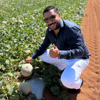 Frank Ocampo, melon expert and associate partner at TripleF Fruit-Franky’s Choice