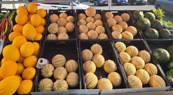 Figure 6: Shelf with melons outside a mid-segment retailer in Germany on a hot day