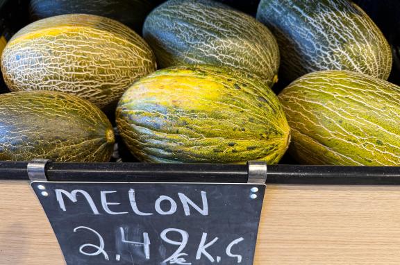Figure 7: Piel de Sapo melon in a Spanish independent retail outlet, at the beginning of the European season