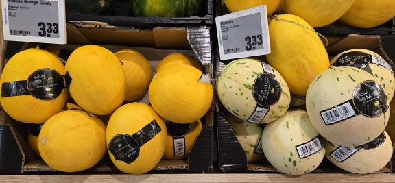 Figure 8: Sugar Baby Matisse and Orange Candy melons in German retail