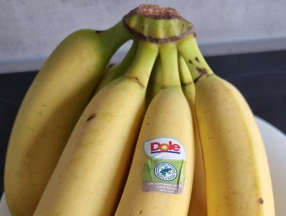 Figure 9: Example of Rainforest Alliance sticker on bananas