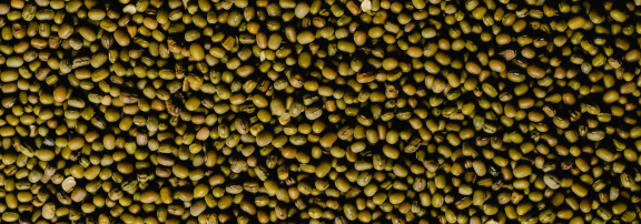 Figure 1: Mung beans