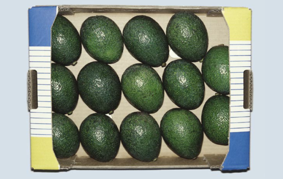 Figure 1 - ‘Extra’ Class avocados