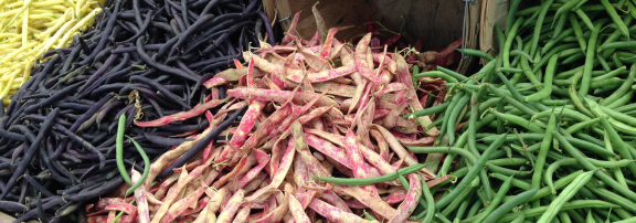 Figure 1 - Different coloured beans