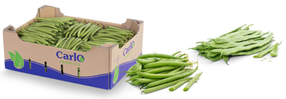 Figure 5 - Green beans from ‘Carlo’, the brand of one of the Dutch integrated vegetable companies