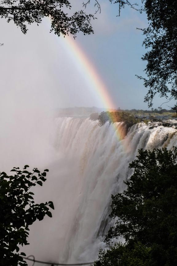 Nature-based reflection at Victoria Falls, Zimbabwe