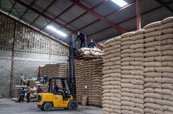 Organic cocoa at a warehouse in the Democratic Republic of Congo