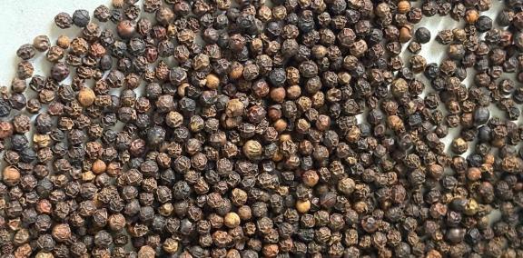 Figure 1 - Black pepper from Vietnam