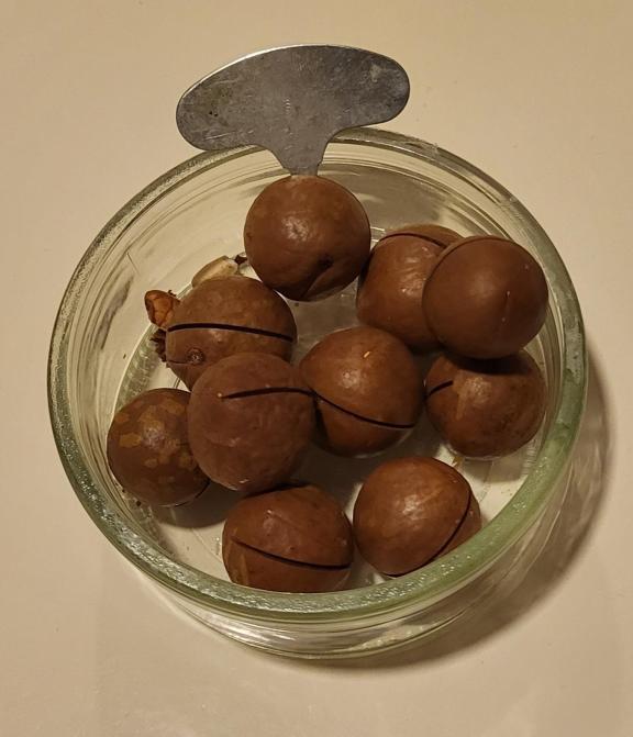 Figure 6 - Pre-cracked and flavoured macadamia nuts with an opening device