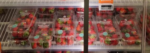 Figure 7 - Strawberries in a closed-door refrigerated display cabinet, Dutch mainstream retail outlet, August 2025
