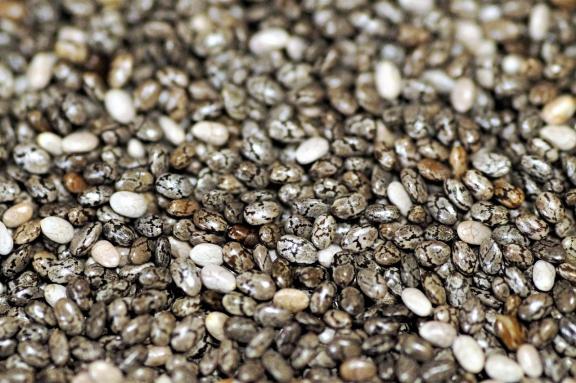 Figure 1 - Chia seeds in close-up