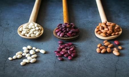 Figure 1 - Varieties of dry beans red kidney beans, white kidney beans and pinto beans