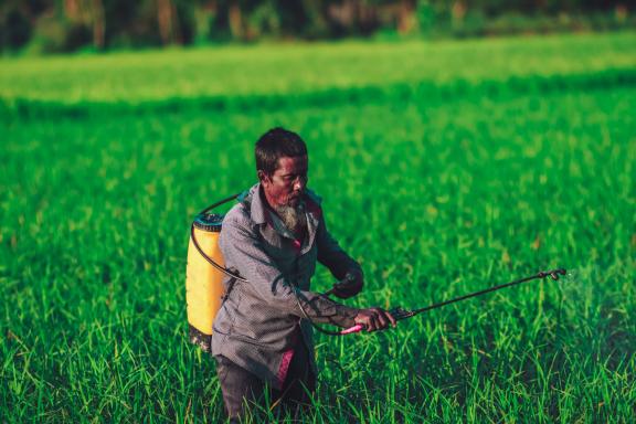 Figure 4 - F2F will change the type and amount of inputs used in agriculture