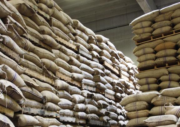 Figure 8 - Cocoa beans in a European warehouse