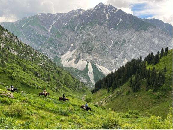 People traveling on horseback on grassy mountainside